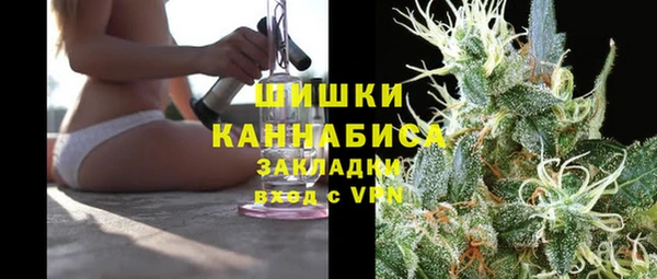 гидра Алексеевка