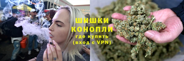 гидра Алексеевка